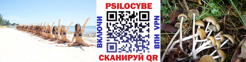 Псилоцибиновые грибы мухоморы  Ардатов 